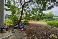Đất hiếm Võ Cường giá tốt, sổ đỏ đầy đủ... Bán đất tại Võ Cường, Bắc Ninh 06