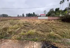 Đất vàng Mê Linh, đầu tư sinh lời nhanh, ô tô vào tận nơi... Bán đất tại Sóc Sơn, Hà Nội 06
