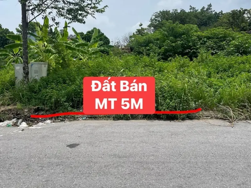 Đất tdc rẻ nhất Từ Sơn, sát nhà mày Seojin, giữa các kcn. Hạ tầng đồng bộ, ngon, rẻ, đẹp... Bán đất tại Từ Sơn, Bắc Ninh 01