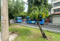 MTKD Siêu Hiếm, Đại Lộ 3, Phước Long, Q9. DT 86m2 (4x22) - Chủ Gấp Bán Chỉ 11 Tỷ TL... Bán nhà mặt phố tại Phước Long, Hồ Chí Minh 05