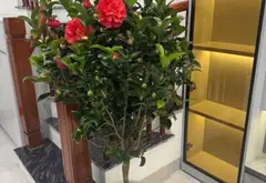 Nhà riêng 5 tầng có thang máy, mặt tiền 5m tại khu vực Ô Cách, Việt Hưng. Bán gấp!... Bán nhà riêng tại Việt Hưng, Hà Nội 18