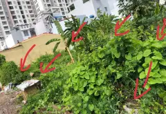 Bán đất mặt tiền 9.6m tại An Dương Vương - diện tích 67m2, pháp lý cơ sở... Bán đất tại Phú Định, Hồ Chí Minh 08