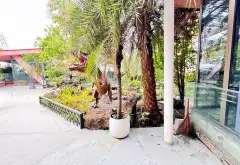 Bán nhà mặt phố Nguyễn Duy Trinh diện tích lớn phù hợp xây trường học, kho xưởng... Bán nhà mặt phố tại Long Trường, Hồ Chí Minh 06