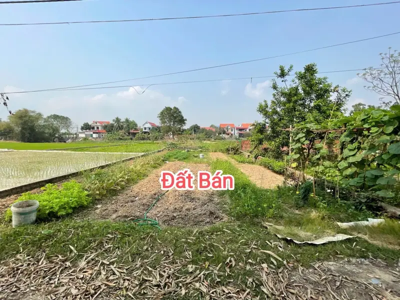 Bán đất lô góc tại Đồng Lạc, Sóc Sơn, mặt tiền rộng, tiện đường ô tô... Bán đất tại Sóc Sơn, Hà Nội 01