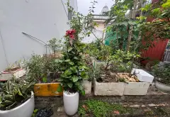 BÁN ĐẤT TẠI HẬU DƯỠNG THIÊN LỘC. TRỤC 23 CẦU THĂNG LONG... Bán đất tại Thiên Lộc, Hà Nội 01