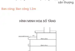 Bán nhà cấp bốn 282m² tại Phú Thuận, phù hợp xây CHDV... Bán nhà riêng tại Phú Thuận, Hồ Chí Minh 12