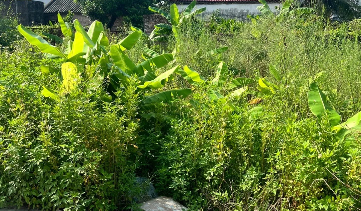 Đất nền hướng Đông Bắc ngay gần khu công nghiệp Quán Toan, An Hồng... Bán đất tại Hồng An, Hải Phòng 01