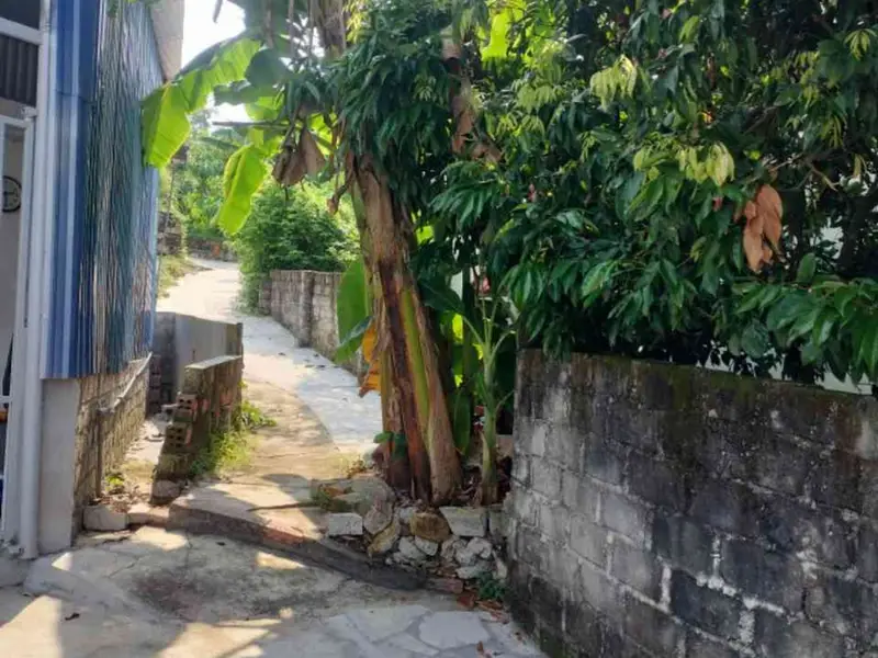 Đất Biệt Thự Vườn Thủy Nguyên - Không Gian Xanh Trong Tầm Tay... Bán đất tại Hòa Bình, Hải Phòng 01