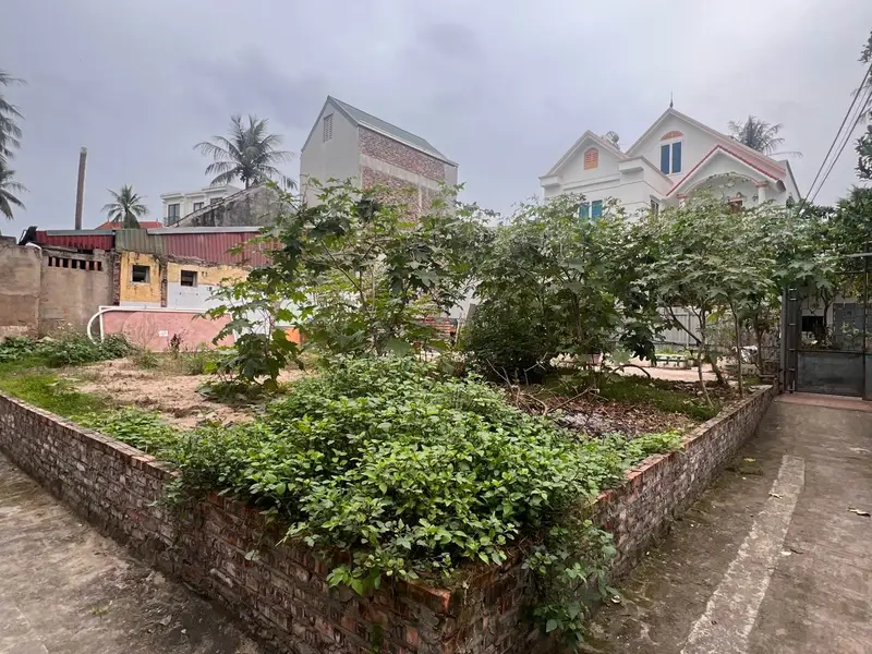 Đất - 178m² - Sơn Đồng, Hoài Đức, Hà Nội - 8.5 tỷ... Bán đất tại Sơn Đồng, Hà Nội 01