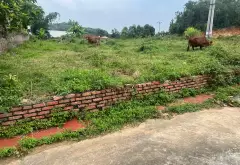 Cơ hội sở hữu đất phân lô vị trí vàng tại Thất Giang, Bắc Ninh với giá tốt... Bán đất tại Phù Lãng, Bắc Ninh 05