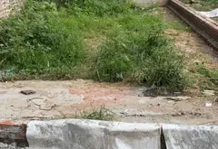Bán đất 51m2 ô tô ngủ trong đất thông số vàng, ở phúc lợi... Bán đất tại Phúc Lợi, Hà Nội 06