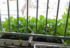 Nhà 2 tầng rộng rãi, thoáng mát tại Bình Tân... Bán nhà riêng tại Bình Tân, Hồ Chí Minh 05