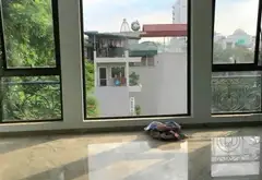 Nhà mặt phố lô góc Ba Đình 5 tầng kinh doanh đa ngành... Bán nhà mặt phố tại Ba Đình, Hà Nội 04