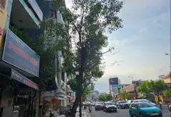 Nhà góc 3 mặt tiền, 5 tầng, sinh lời siêu hấp dẫn... Bán nhà mặt phố tại Xuân Hòa, Hồ Chí Minh 02