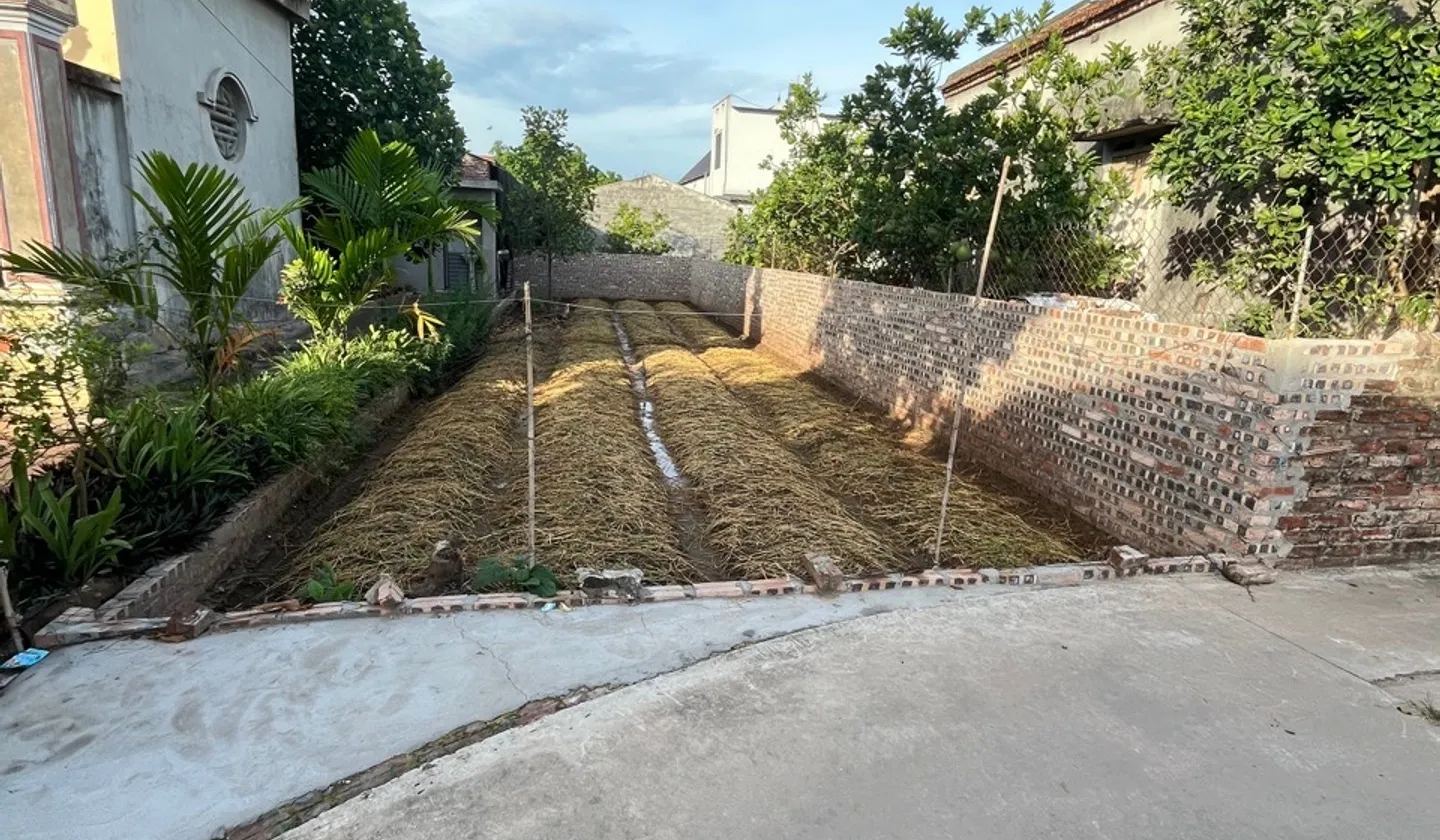 Bán đất 100m2 mặt tiền 5m tại Đông Tảo, Hưng Yên, ô tô vào tận đất... Bán đất tại Hoàn Long, Hưng Yên 01