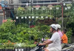 Giảm ngay 1 tỷ - Đất mặt tiền ngay Bệnh viện Bình Tân, cơ hội đầu tư vàng... Bán đất tại Bình Trị Đông, Hồ Chí Minh 04