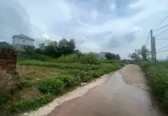 Đất Thổ Cư Đẹp Tại Bắc Sơn Sóc Sơn - Đầu Tư Sinh Lời... Bán đất tại Trung Giã, Hà Nội 03