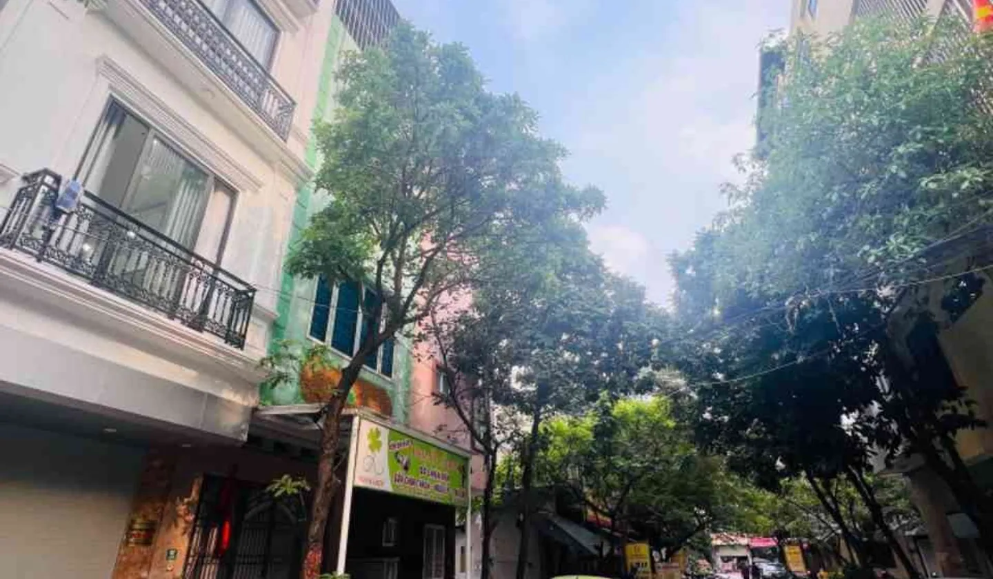 🔥 KHU ĐẤU GIÁ NGÔ THỊ NHẬM – VỈA HÈ RỘNG – THANG MÁY– KINH DOANH ĐỈNH – DÒNG TIỀN SẴN 🔥... Bán biệt thự, liền kề tại Hà Đông, Hà Nội 01