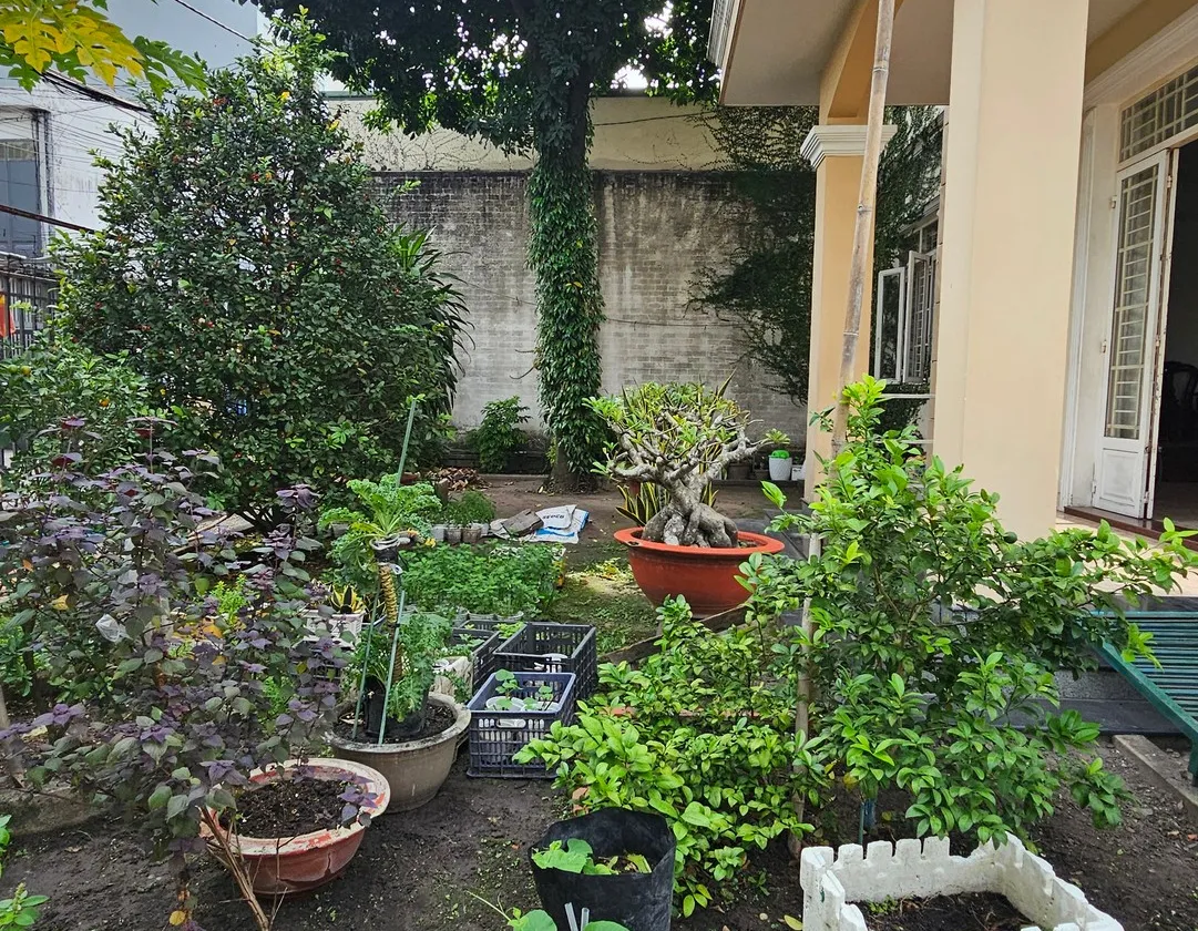 Biệt thự nhà vườn rộng rãi tại quận 12 với vị trí thuận tiện... Bán biệt thự, liền kề tại An Hội Đông, Hồ Chí Minh 01