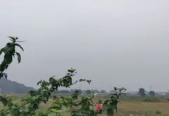 Đất vàng Đan Tảo Tân Minh, kết nối hai ô tô, sinh lời bền vững... Bán đất tại Sóc Sơn, Hà Nội 02