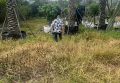Đất vàng góc Tỉnh Lộ 2 - vị trí đẹp, tiềm năng sinh lời... Bán đất tại Củ Chi, Hồ Chí Minh 03