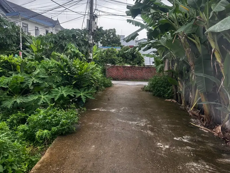 Lô đất siêu chất tại Hải An, đón đầu cơ hội vàng... Bán đất tại Hải An, Hải Phòng 01