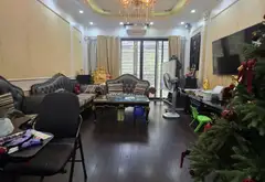 Biệt thự phố Lương Khánh Thiện với thang máy và gara ô tô đẳng cấp... Bán nhà riêng tại Tương Mai, Hà Nội 03