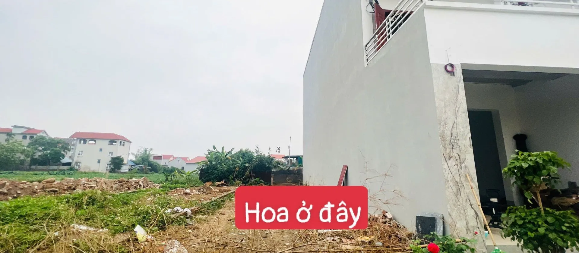 Bán đất mặt tiền 5m khu đấu giá Giếng Đồng, Sóc Sơn, pháp lý sổ đỏ... Bán đất tại Sóc Sơn, Hà Nội 01