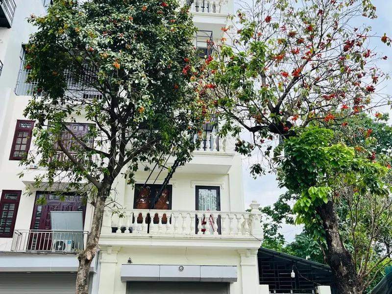 Tòa CCMN lô góc HUD Vân Canh - Ô tô đỗ cửa, lợi nhuận khủng... Bán biệt thự, liền kề tại Sơn Đồng, Hà Nội 01