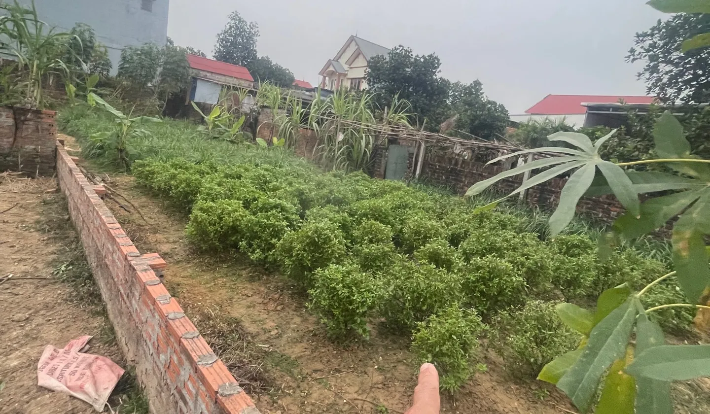 Đất đẹp Lập Trí Sóc Sơn – Ô tô tránh, tiềm năng tăng giá cao... Bán đất tại Kim Anh, Hà Nội 01