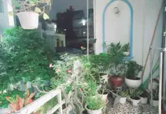 Bán nhà 4 tầng 5 phòng ngủ tại phường Bình Lợi, quận Bình Thạnh... Bán nhà riêng tại Bình Lợi Trung, Hồ Chí Minh 04