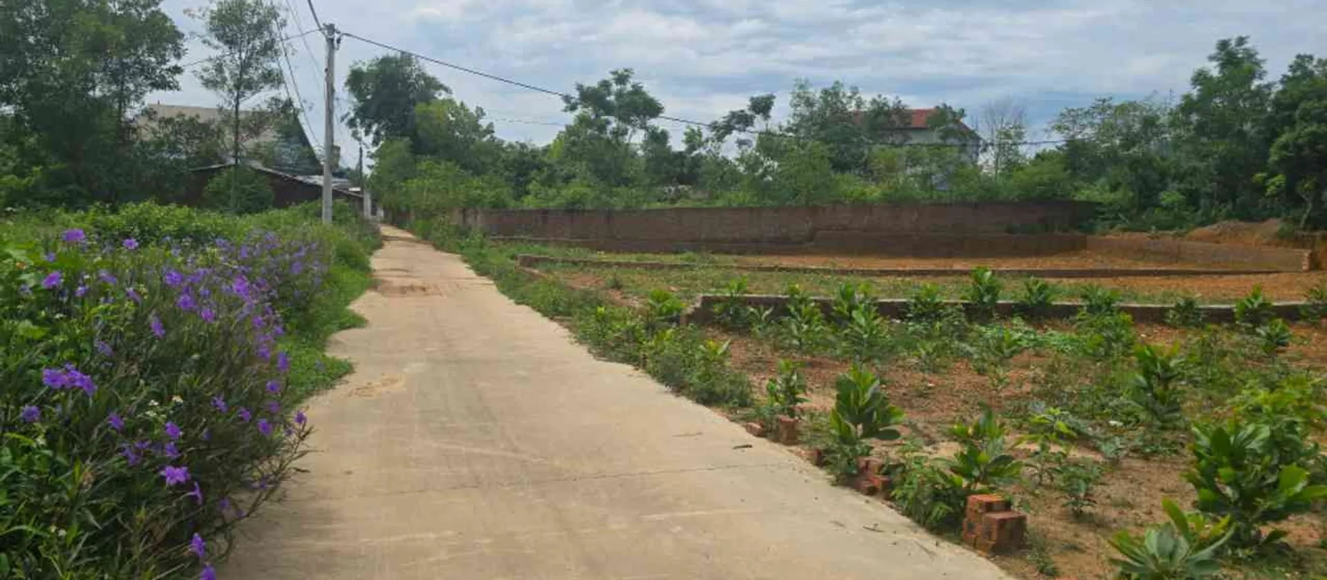 Đất Vuông Mặt Tiền Rộng 12m Sóc Sơn – Cơ Hội Vàng Đầu Tư... Bán đất tại Trung Giã, Hà Nội 01