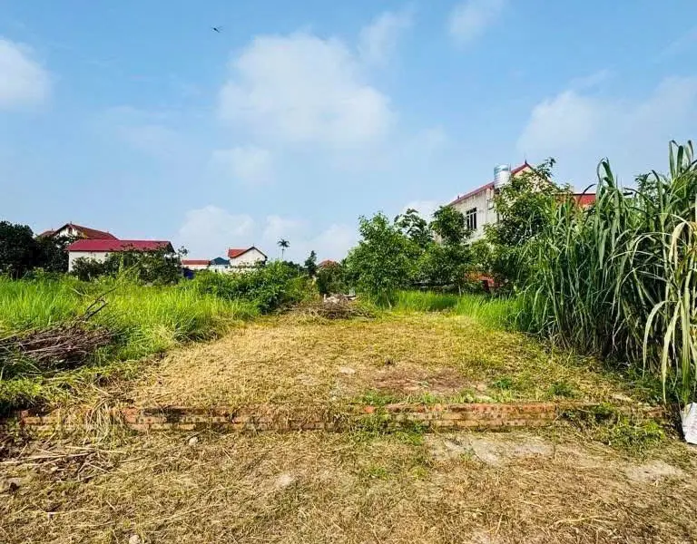 Bán 72m đất chính chủ tại Quán Trạch - Văn Giang - Hưng Yên- đường thông oto đỗ cửa... Bán đất tại Văn Giang, Hưng Yên 01