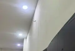 Nhà trong ngõ, ngách, hẻm - 64m² - Tân Phú, TP Hồ Chí Minh - 6.2 tỷ... Bán nhà riêng tại Tân Phú, Hồ Chí Minh 05