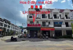 Shophouse Từ Sơn góc vàng đối diện chung cư, kinh doanh cực đỉnh... Bán Shophouse tại Từ Sơn, Bắc Ninh 01