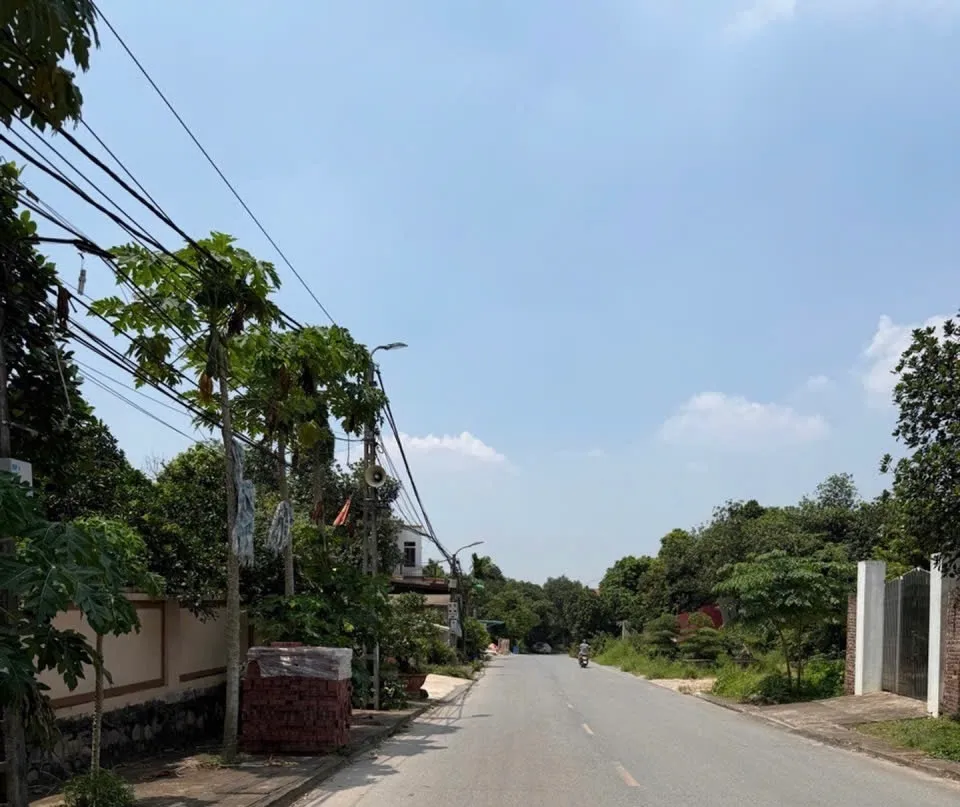 Đất Xinh Núi Chè – ô tô vào tận nơi, view cực chill... Bán đất tại Liên Bão, Bắc Ninh 01