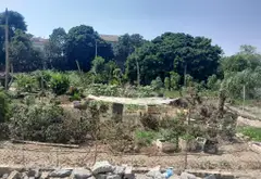 Đất nền biệt lập tại Hải Bối với vị trí chiến lược và tầm nhìn mở... Bán đất tại Thiên Lộc, Hà Nội 13