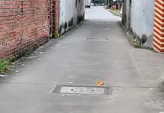 Cơ hội hiếm có sở hữu lô đất thổ cư duy nhất tại xã Đại Đồng Bắc Ninh... Bán đất tại Đại Đồng, Bắc Ninh 07