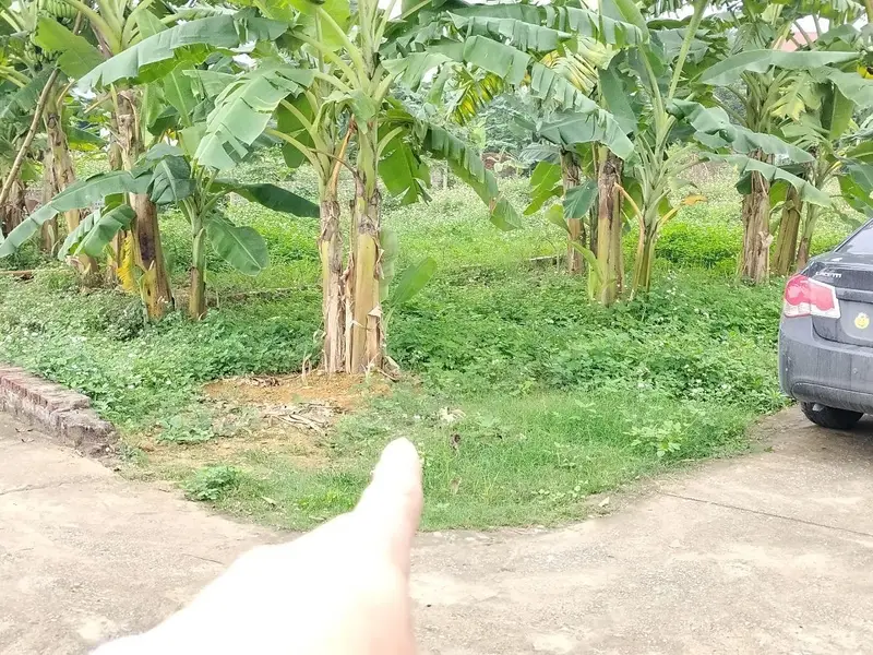 Bán đất vị trí vàng gần Quốc lộ 3, diện tích 112m2, pháp lý rõ ràng... Bán đất tại Trung Giã, Hà Nội 01