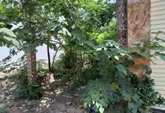 Cơ hội duy nhất sở hữu đất vàng khu tái định cư Quỳnh Đô... Bán đất tại Đại Thanh, Hà Nội 06
