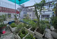 Biệt thự liền kề Mậu Lương - Không gian sống lý tưởng cho gia đình hiện đại... Bán biệt thự, liền kề tại Kiến Hưng, Hà Nội 18