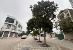 Biệt thự lô góc Đan Phượng - Ô tô tránh, kinh doanh sầm uất... Bán biệt thự, liền kề tại Đan Phượng, Hà Nội 04