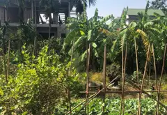 Đất phú liệt- mễ sở -hưng Yên ; DT 70m : 5,5m mặt vuông vắn giá 3,9 tỷ... Bán đất tại Mễ Sở, Hưng Yên 05