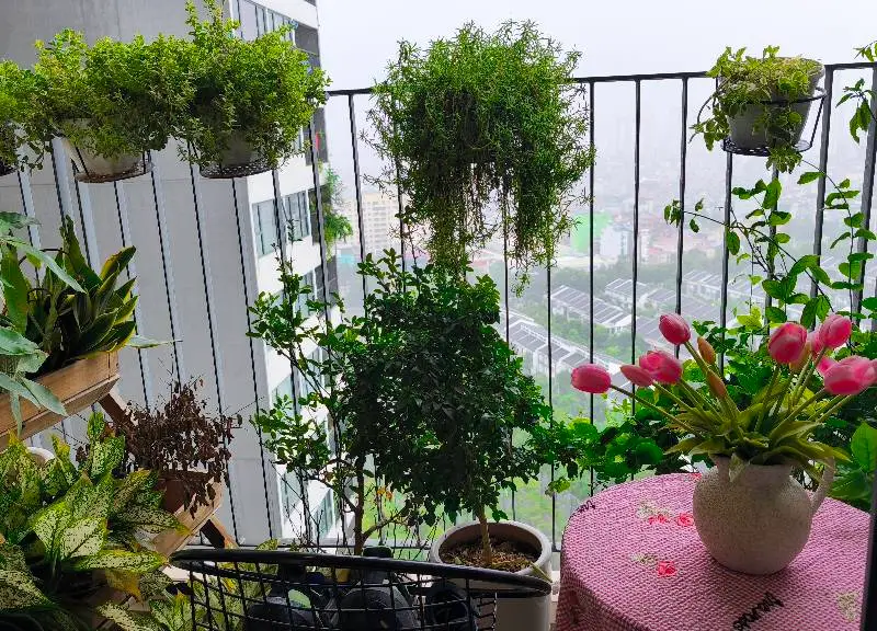 Bán căn hộ căn góc 108m2 tại phường Dương Nội, Hà Nội... Bán căn hộ chung cư tại Dương Nội, Hà Nội 01