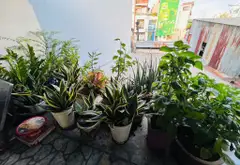 Bán nhà mặt tiền Dương Bá Trạc, ngang 4.7m, diện tích 77.5m2, giá 13.5 tỷ đồng... Bán nhà mặt phố tại Chánh Hưng, Hồ Chí Minh 07