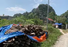 🔥 2,5 TỶ – 115,3M² ĐẤT HƯỚNG ĐÔNG NAM | GIÁP HẠ LONG XANH 🔥... Bán đất tại Hà An, Quảng Ninh 03