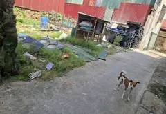 🔥🔥 DẺ ƠI LÀ DẺ – ĐẤT ĐẸP YÊN PHỤ 🔥🔥

💥 70M² ĐẤT THỔ CƯ YÊN PHỤ - BẮC NINH – SỔ ĐỎ SẴN... Bán đất tại Yên Phong, Bắc Ninh 03