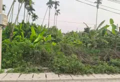 Đất nền rộng 221m2 mặt tiền 9m tại phường Lưu Kiếm, hướng Đông Nam... Bán đất tại Lưu Kiếm, Hải Phòng 12