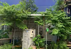 Nhà lô góc mặt phố khu tái định cư Hoa Quả, quận Hồng Bàng, Hải Phòng... Bán nhà mặt phố tại Hồng Bàng, Hải Phòng 10