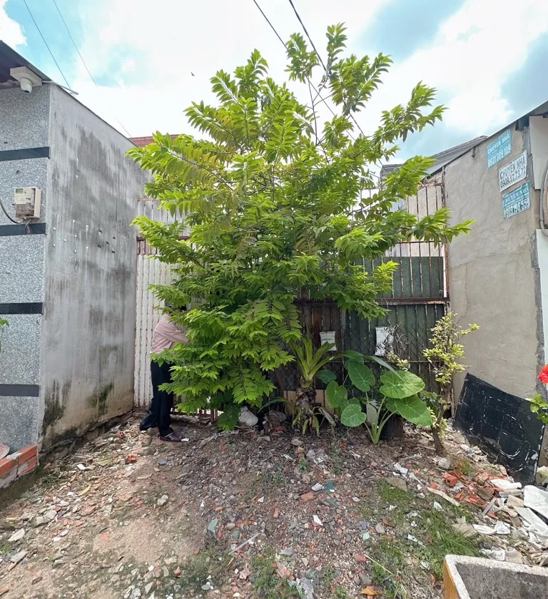 Đất trống 112.6m² ngay trường THPT Bình Hưng Hòa, phường Bình Hưng Hòa, Bình Tân, chỉ 3 tỷ... Bán owner_side tại Bình Hưng Hòa, Hồ Chí Minh 01
